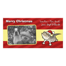 Christmas Bearded Dragon / Rankins Dragon Custom Photo Card