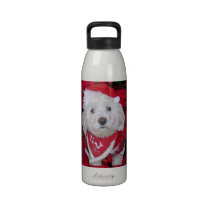 Christmas Bichon Frise Dog water bottles