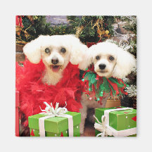 Christmas - Bichon Frise - Satchel and P.J. Fridge Magnets