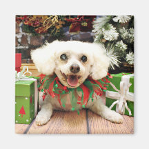 Christmas - Bichon Frise - Satchel Refrigerator Magnet