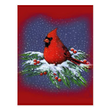 CHRISTMAS BIRD: CARDINAL: ART POST CARD