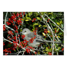 Christmas Bird Greeting Cards