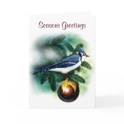Christmas Bird Pretty Blue Jay Greeting Card by VintageChristmas365