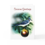 Christmas Bird Pretty Blue Jay Greeting Card