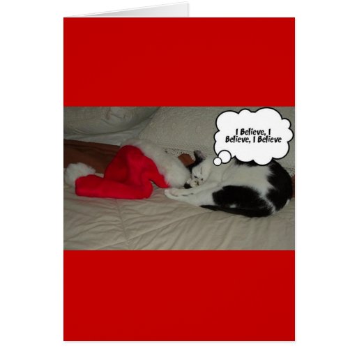 Christmas Black and White Kitty Cat Cards