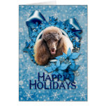 Christmas - Blue Snowflake - Poodle - Chocolate Card