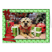 Christmas - Border Terrier - Reagan Card