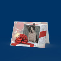Christmas Boston Terrier Greeting Card cards