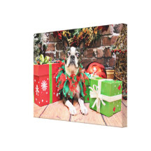 Christmas - Boston Terrier - Natty Stretched Canvas Print