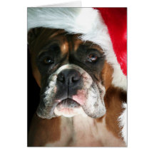 Christmas Boxer Dog greeting card