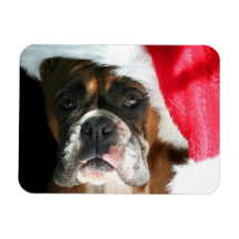 Christmas Boxer dog Magnets