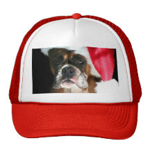 Christmas Boxer Dog Mesh Hats