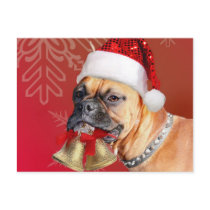 Christmas Boxer dog Postcards