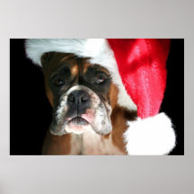 Christmas Boxer Dog poster