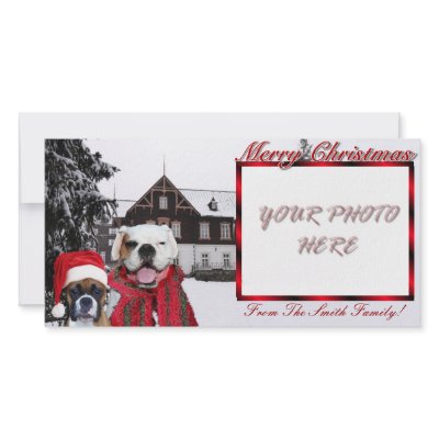 Christmas Boxer Dogs Photocard Photo Cards by ritmoboxer