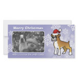 Christmas Boxer