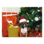 Christmas boxer puppy photo art
