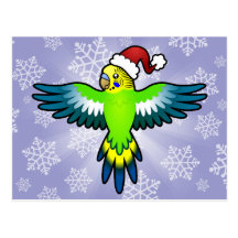 Christmas Budgie / Parakeet Postcard