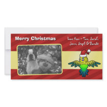 Christmas Budgie