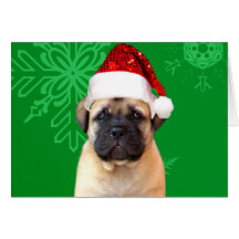 Christmas Bullmastiff puppy Cards