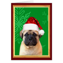 Christmas bullmastiff puppy greeting card