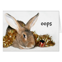 Christmas bunny boo boo card