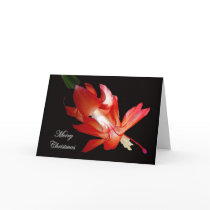 Christmas Cactus Merry Christmas Series Greeting Cards