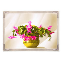 Christmas Cactus Photo