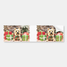 Christmas - Cairn Terrier - Lola Bumper Stickers