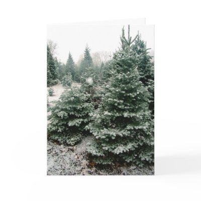 Christmas Card by tuckerjess