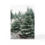 Christmas Card