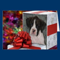 Christmas Card cards