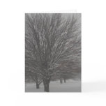 Christmas Card