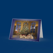 christmas card cards
