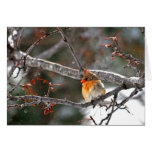 Christmas Card - Cardinal in Snow