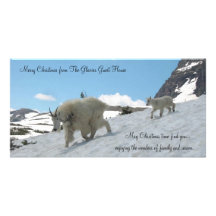 Christmas card customized photo card