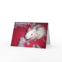 Christmas Card FOR your pet rats!