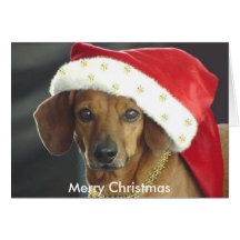 Christmas Card - Santa Dachshund