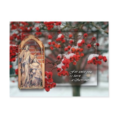 Christmas Card with Berries Postcard by 10mmChristians