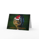 Christmas card xmas Christmas animal kitty cat