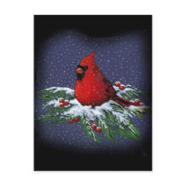 CHRISTMAS CARDINAL: BIRD: ART: SNOW