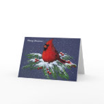 CHRISTMAS: CARDINAL: BIRD: SNOW: CARD