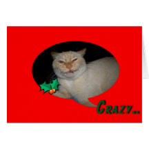 christmas cat cards