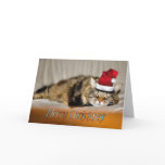 Christmas cat Christmas kitty cat xmas animals