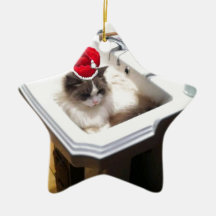 Christmas Cat Christmas Ornament
