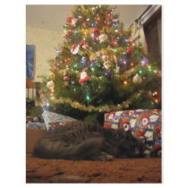 Christmas Cat