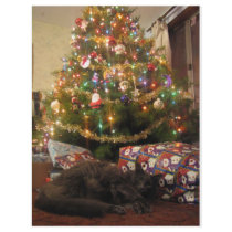 Christmas Cat