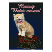 Christmas Cat cards