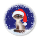 Christmas Cat in Santa Hat Magnet