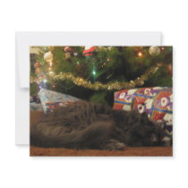 Christmas Cat